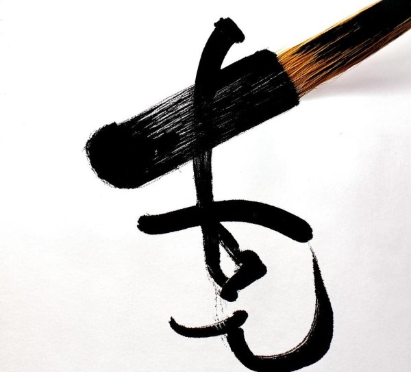 硬笔书法一字写法动态图解析，笔势流转，尽展书韵之美